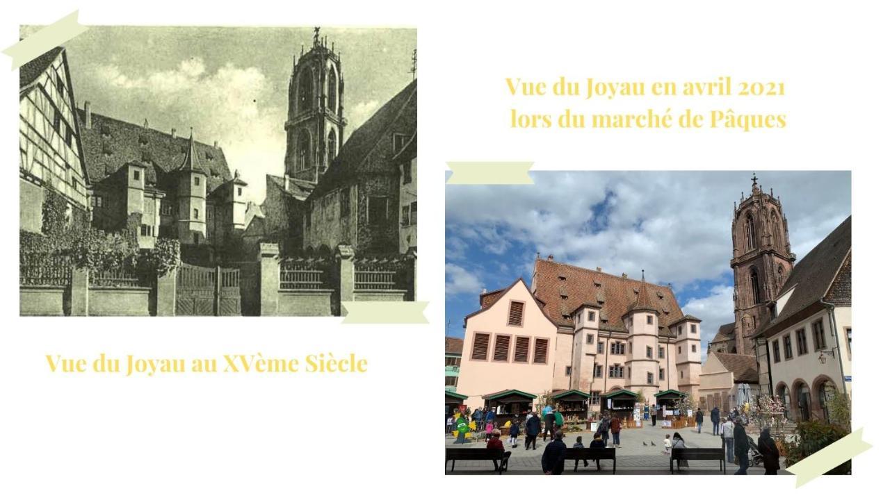 Le Joyau Alsacien - Centre Historique Apartment Selestat Exterior photo